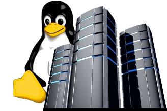 Linux Dedicated Server